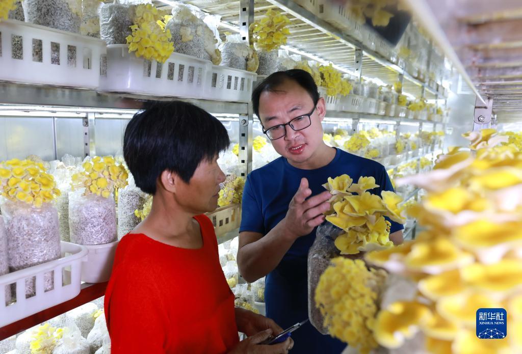 乐潮娱乐平台