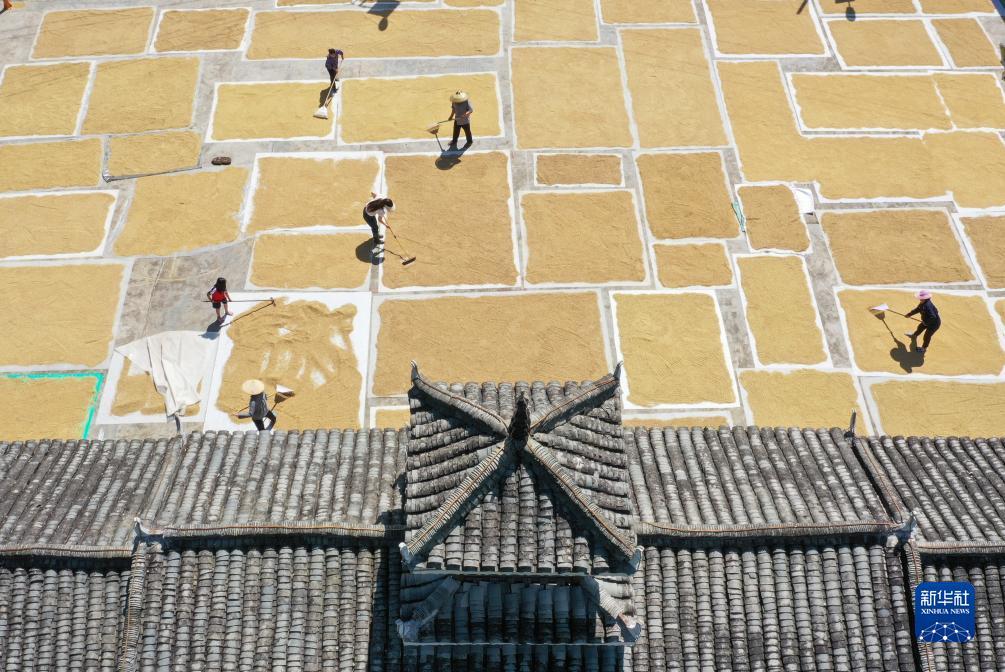 金沙澳门娱乐平台下载